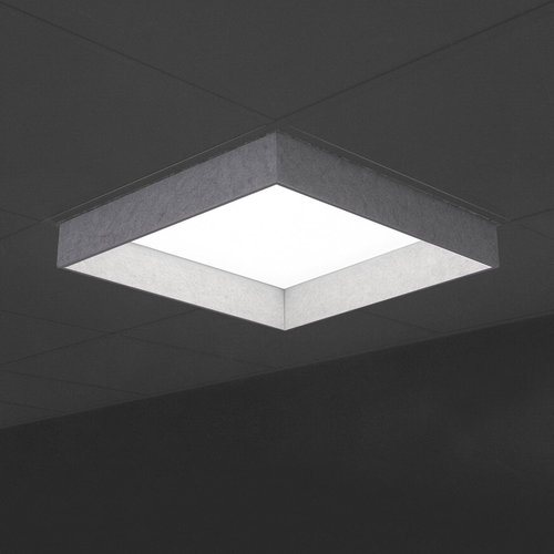 Jut Box OWTI Acoustic